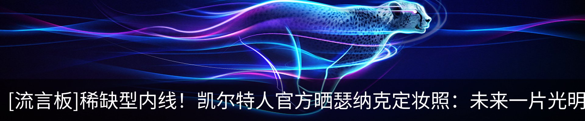 最新动态